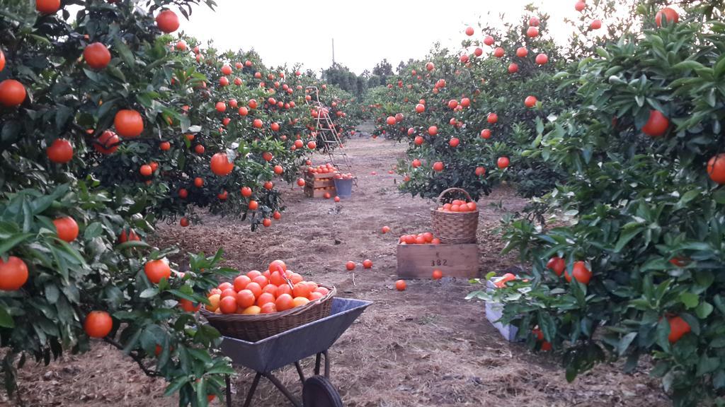 Banhakeura Pension Čedžu Exteriér fotografie